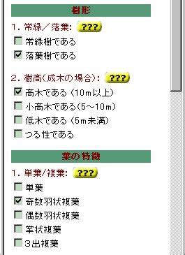 木名|樹木検索サイト「木には名前がある」